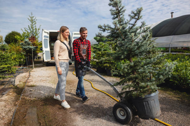 Best Local Tree Services  in Farngton, MI